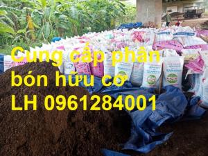 Chuyên cung cấp phân hữu cơ, phân chuồng ủ hoai, phân gia súc ủ hoai, uy tín, chất lượng, giao hàng toàn quốc