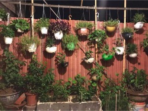 Chính chủ án nhà ngõ 200 Âu Cơ 75,9m2*3T + 1 tum, sổ đỏ chính chủ (miễn trung gian)