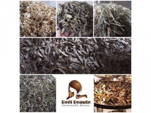 Dầu Thảo Dược Reel Beaute Phổ Thông