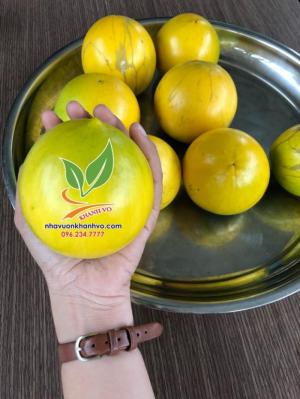 Vú sữa Hoàng Kim - Trung tâm giống cây trồng tpHCM