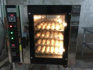 Lò nướng đối lưu điện 5 khay