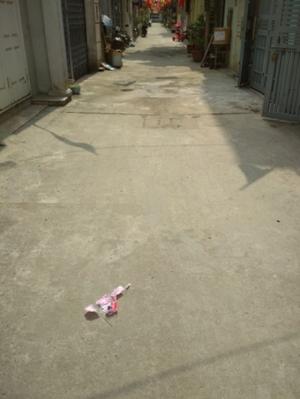 Bán nhà khu Z133 tổ 17 Thượng Thanh Long Biên ô tô đỗ cửa.