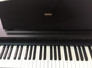 Đàn Piano Điện Yamaha Ydp-88ii Chính Hãng