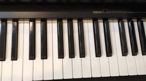 Đàn Piano Điện Yamaha Clp-560 Chính Hãng