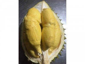 Sầu riêng ri 6 siêu sạch