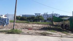 Đất nền đối diện trường quốc tế Sky Line trung tâm quận Hải Châu