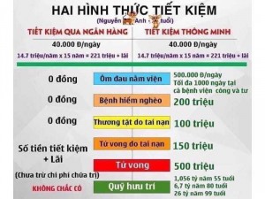 Tư Vấn Bảo Hiểm Dai-ichi ( Bảo Hiểm Nhân Thọ )