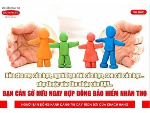 Tư Vấn Bảo Hiểm Dai-ichi ( Bảo Hiểm Nhân Thọ )