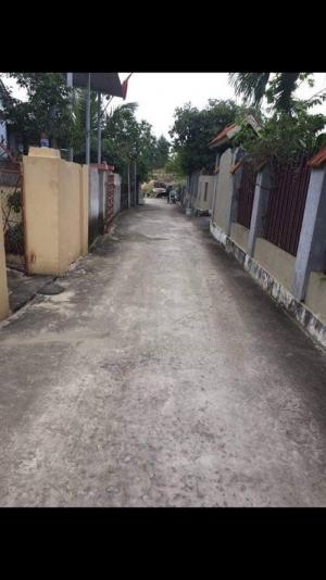 Bán đất rẻ bán đảo Bảo Ninh