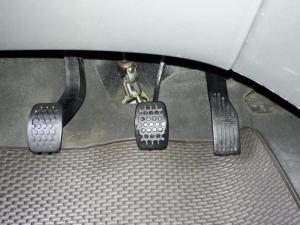 Gia đình cần bán Spark 2016 Ls, số sàn, màu xanh chuối cực đẹp.
