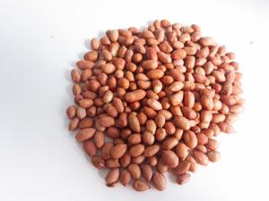 lạc nhân ấn độ