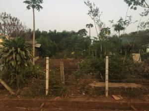 Cần bán gấp 1 sào đất Bàu Cạn gần trục đường vào cổng số 3 sân bay Long Thành