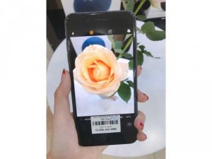 Cần bán iphone 8 plus-64-Gray máy trưng bày