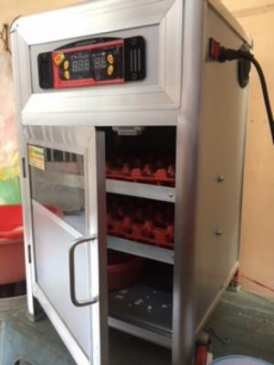 MÁY ẤP TRỨNG THÔNG MINH CÔNG NGHỆ MỚI
Bộ điều khiển nhiệt độ tự động của Hàn Quốc + Nhật Bản
Sai số: 0.10 C
Đảo trứng và tạo độ ẩm tự động.
Số lượng trứng: 60 trứng
Bảo hành: 12 tháng
Loại máy : Máy ấp trứng đảo trứng và phun ẩm tự động và điều nhiệt đa chiều
Điện áp : 220V AC
Mã số: ATSSF0-60
Công suất tiêu thụ: tối đa 100w (hệ thống siêu tiết kiệm điện)
Kết cấu : Tủ nhôm cao cấp & Aluminium chống thắm cách nhiệt , bộ điều khiển nhiệt độ nhập khẩu theo tiêu chuẩn quốc tế ( đặc biệt tủ bốn vách aluminium)
Phun ẩm : Tuỳ chỉnh , tự động đóng ngắt khi quá 1% quy định
Hệ thống cung cấp nhiệt : bóng nhiêt halozen chuyên dùng cho ấp trứng không có tia tử ngọai
Đảo Trứng : Tự chọn hẹn giờ từ 1 Giờ - 9 Giờ
Kích thước:
Ngang: 370 mm
Sâu: 370 mm
Cao: 550 mm
Mô tả :
- Biên độ nhiệt độ C: 0,1 giây
- Biên độ độ ẩm RH% : 1 %
- Nhiệt độ được điều khiển tự động,ổn định bằng vi xử lý. ( Đặc biệt theo thiết kế mới máy ấp không có tia tử ngoại )
- Tạo độ ấm tự động
- Đảo trứng tự động (có thể tuỳ chọn thời gian đảo từ 1 giờ - 9giờ)
- Có thể ấp theo chế độ đa kỳ (mỗi tuần vào trứng một lần) hoặc đơn kỳ (vào trứng một lần).
MÁY ẤP ĐƯỢC CÁC LOẠI TRỨNG NHƯ (TRỨNG GÀ, TRỨNG VỊT, TRỨNG CÚT, TRỨNG CHIM, TRỨNG ĐÀ ĐIỂU, TRỨNG YẾN)
VÀ CÁC LOẠI TRỨNG KHÁC.V.V....