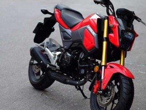 Honda MSX 125 đỏ đen