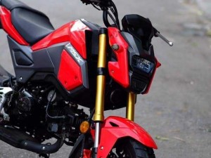 Honda MSX 125 đỏ đen