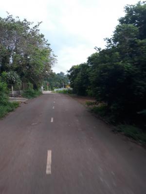 Đầu xuân rước thổ! may mắn nhân đôi tại Hưng Lộc - Dầu Giây