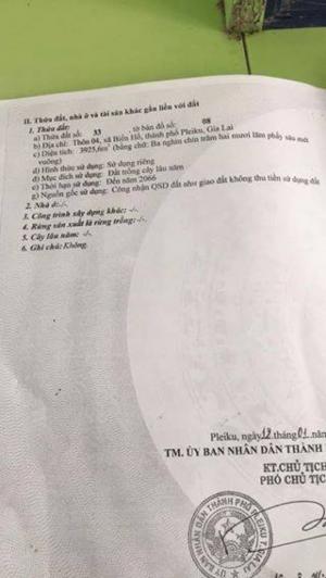 Đất Rẫy Chính Chủ thôn 4 Biển Hồ, Bán Thu Hồi Vốn