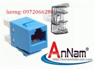 Nhân Mạng AMP ( 1375055-1 ) Category 6 Modular Jack