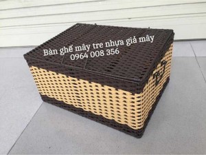 Rương để quần áo cho gia đình
