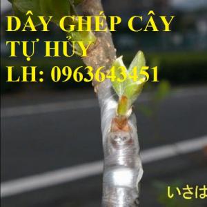 Cung cấp dây ghép cây tự hủy, băng ghép cành tự hủy, dây ghép cây chất lượng, uy tín, giá tốt