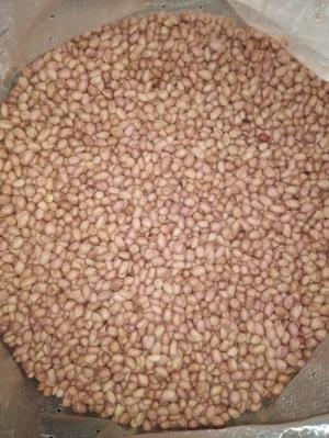 lạc nhân ấn độ giá rẻ