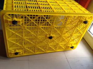 Sọt nhựa 5 bánh xe màu đỏ