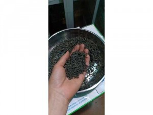 1kg trà móc câu thái nguyên - trà loại ngon đặc biệt