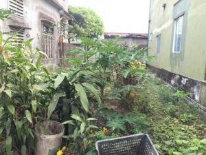Bán lô đất giá rẻ tại trung tâm Thành Phố Đông Hà, tỉnh Quảng Trị ..!!