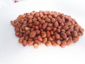 mua bán lạc nhân ấn độ