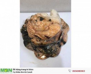 Cụ thiềm thừ đá Canxit ( sỉ & lẻ ib )