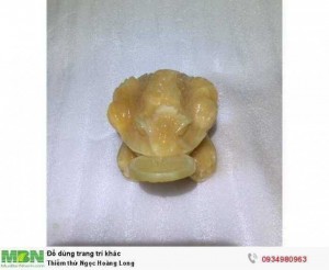 Thiềm thừ Ngọc Hoàng Long ( sỉ & lẻ ib )