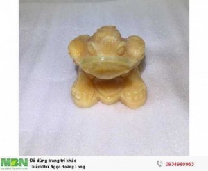 Thiềm thừ Ngọc Hoàng Long ( sỉ & lẻ ib )