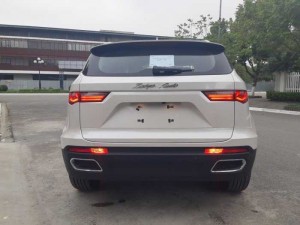 ZotyeZ8 Turbo 2.0.AT 2019