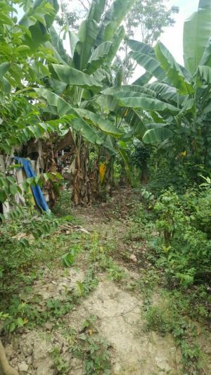 đất hương an 150m2