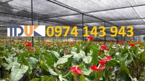 Đại lý phân phối lưới che nắng Thái Lan uy tín và giá rẻ nhất tại HCM