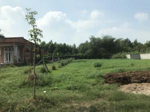 Lì Xì Đất Rẻ SAU TẾT !!! 385m2 đất Mặt Tiền Trần Quang Đạo