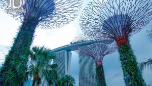 cảnh đẹp tại singapore