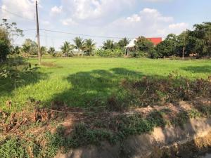 Bán đất đường trương Thị Kiện, xã Thái Mỹ, Củ Chi diện tích 5925 mét vuông
