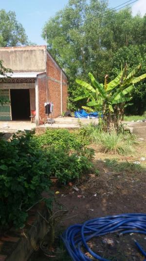 Đất thổ cư tại 79/Bình Hòa Bắc Đức Huệ Long An