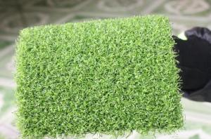 Cỏ golf nhân tạo IMG0420