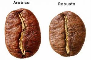 COFFEE NEW 250g - Cafe Rang Mộc Nguyên Chất ROBUSTA