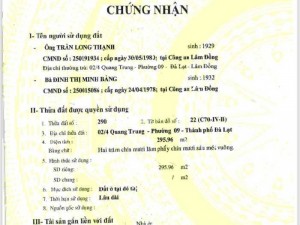 Bán nhà gỗ mini sân vườn đẹp tại Đà Lạt