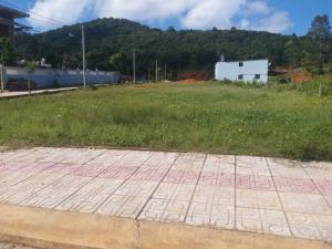 Thanh Lý Vài Lô Đất Mặt Tiền Cây Thông Ngoài Giá Rẽ. Shr