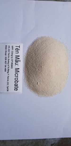 Cung cấp enzyme Microzyme xử lý đáy ao, cắt tảo ao nuôi giá tốt
