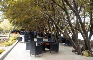 Bàn ghế mây cafe thanh lý giá rẻ nhất