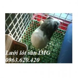 Lưới nhựa cứng đa năng