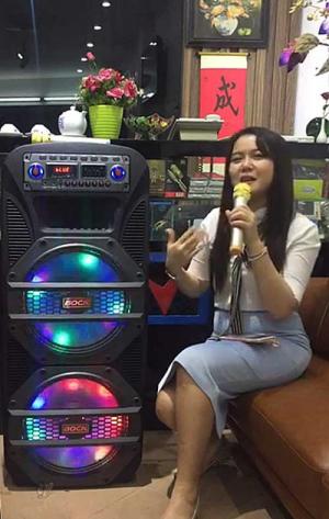 Dàn loa karaoke di động Loa kéo Bock HX215