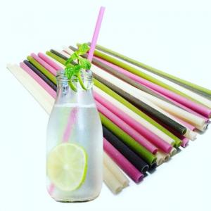 Ống hút gạo Ochao bảo vệ sức khỏe và môi trường 200 ống 2 bịch 1 kg Shop luôn có hàng sẵn bảo đảm