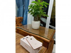 Iphone 8 Plus Ll 64gb